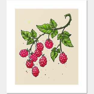 raspberries twig Posters and Art